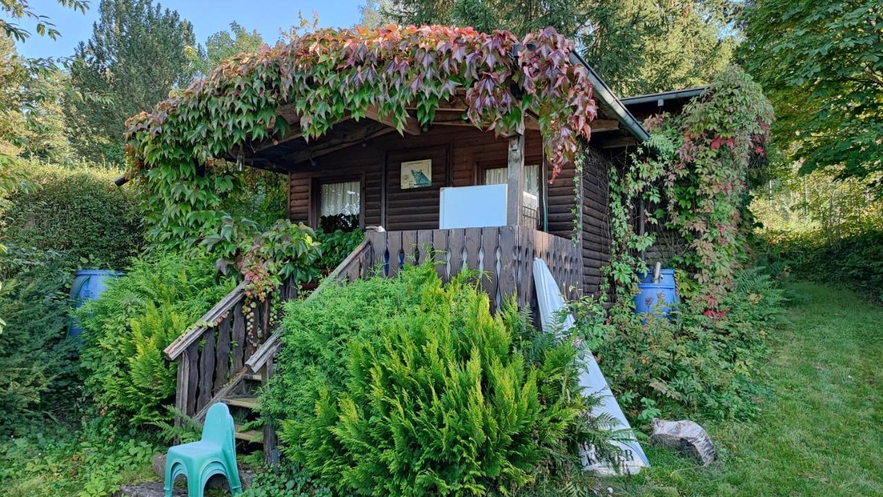 Café Pension Sonnenkanzel Staatsbad Brückenau Exterior foto